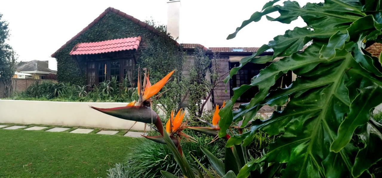Gardenview Guest House Port Elizabeth Exterior foto